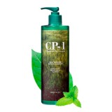 Натуральный увлажняющий шампунь для волос Esthetic House CP-1 Daily Moisture Natural Shampoo